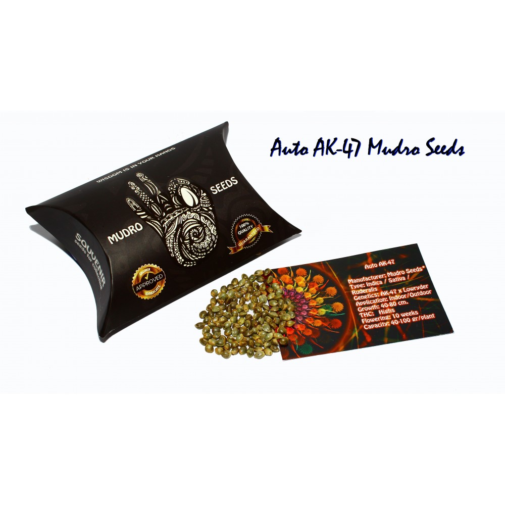 AUTO AK-47 Regular