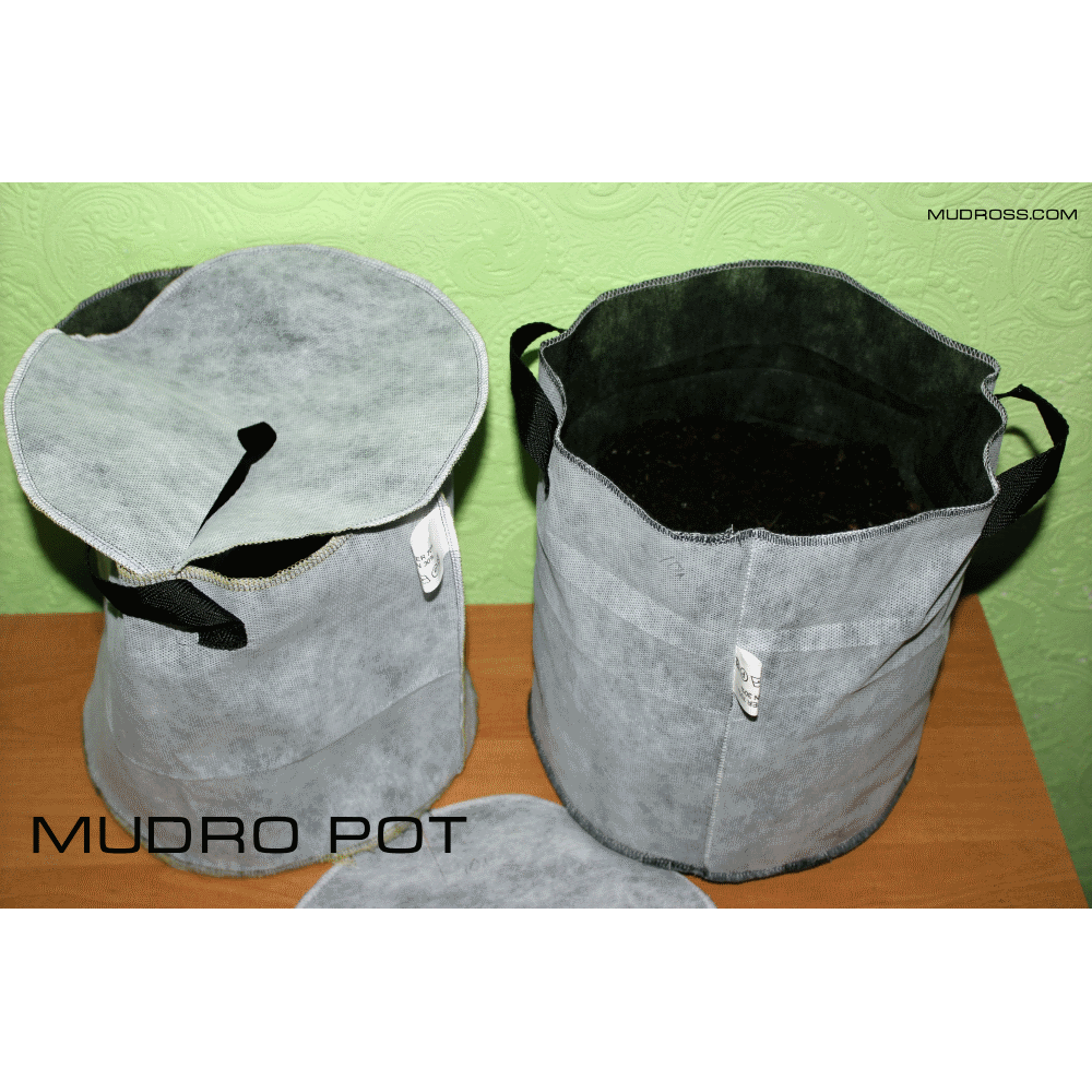 Mudro Pot 5