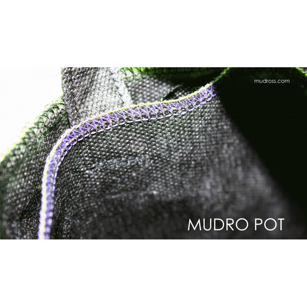 Mudro Pot 5