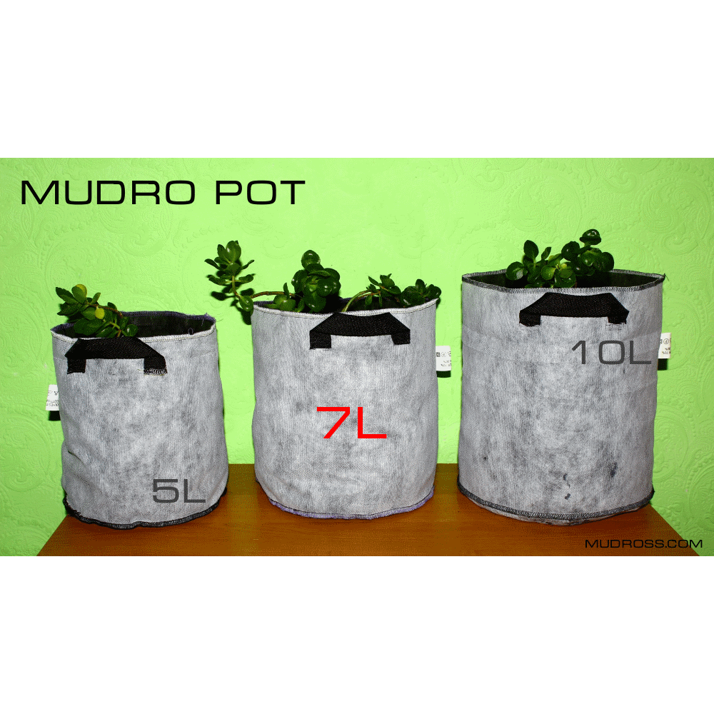 Mudro Pot 7