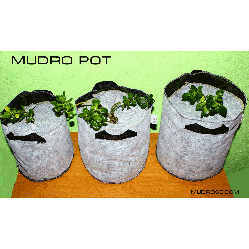 Mudro Pot maxi