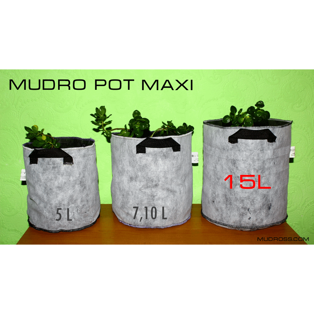 Mudro Pot maxi