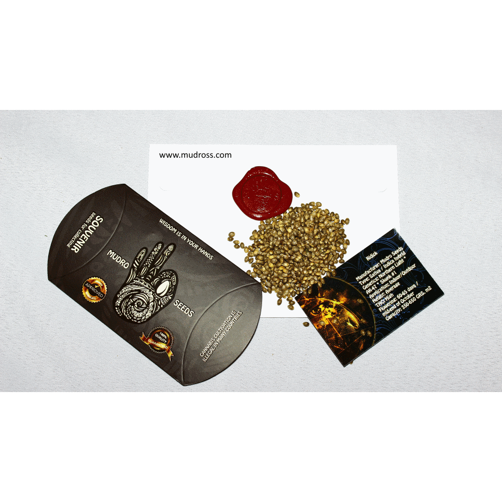 Ridick